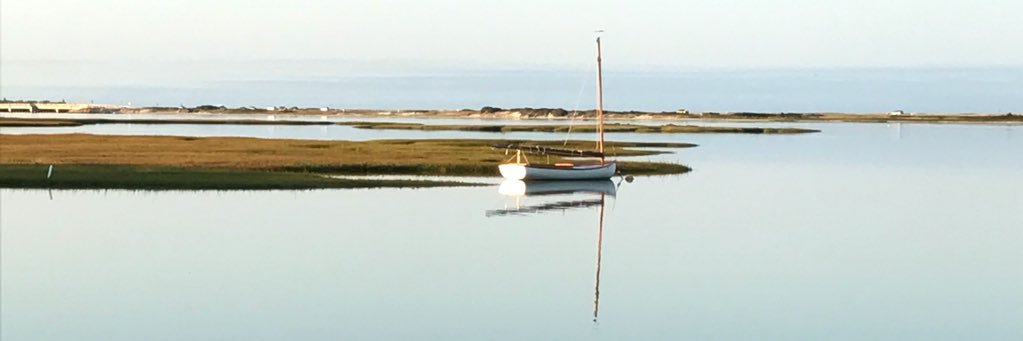 David Coriale banner