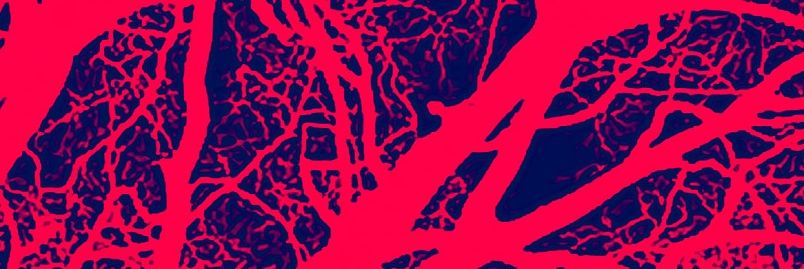 edwardsteele's profile banner image