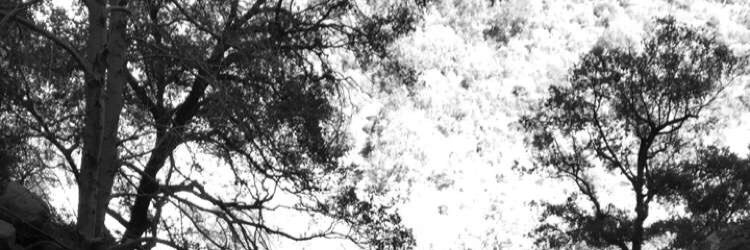 MATTH3W28's profile banner image