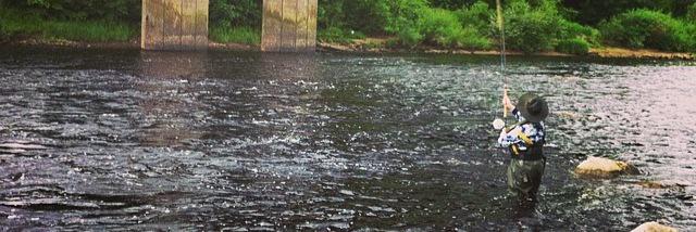 FishTyne's profile banner image