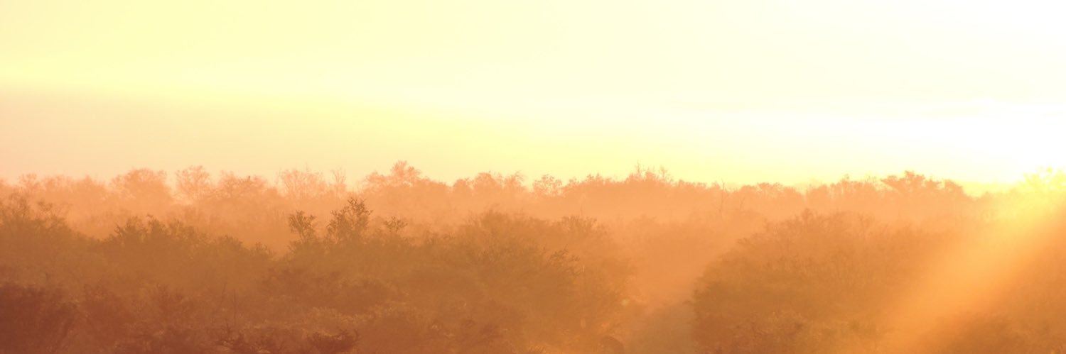 sofiafloresloyo's profile banner image