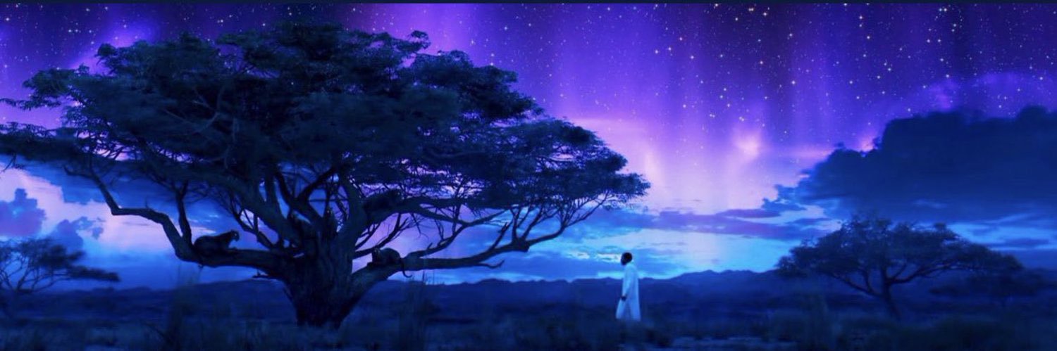 Seth_Kiyoko's profile banner image