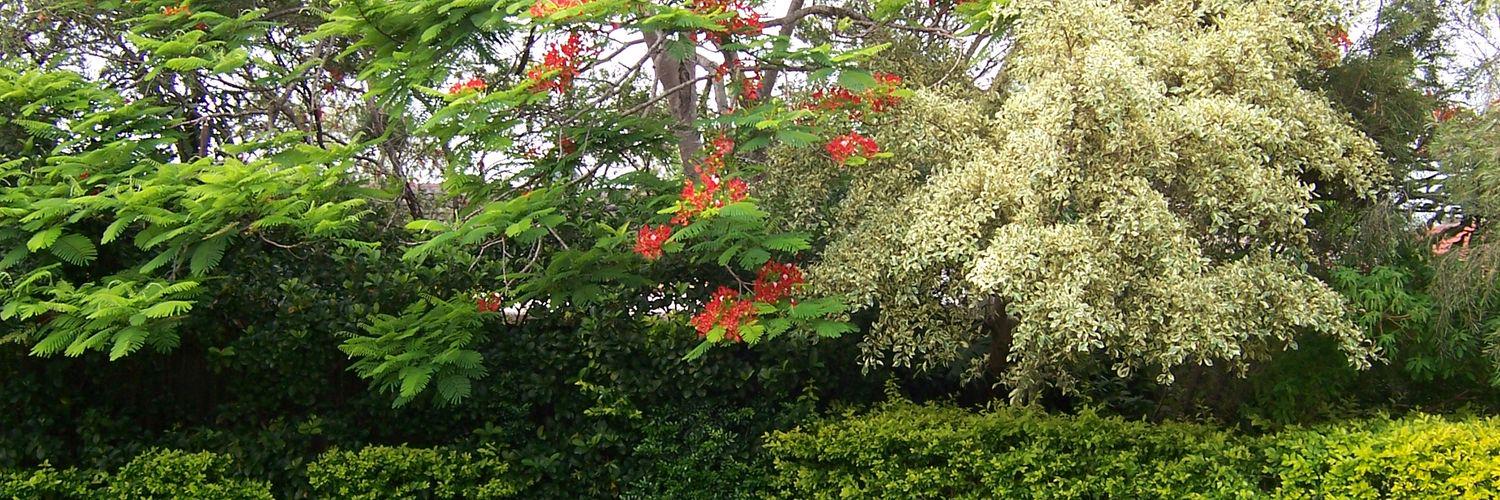 JenHorsburgh's profile banner image