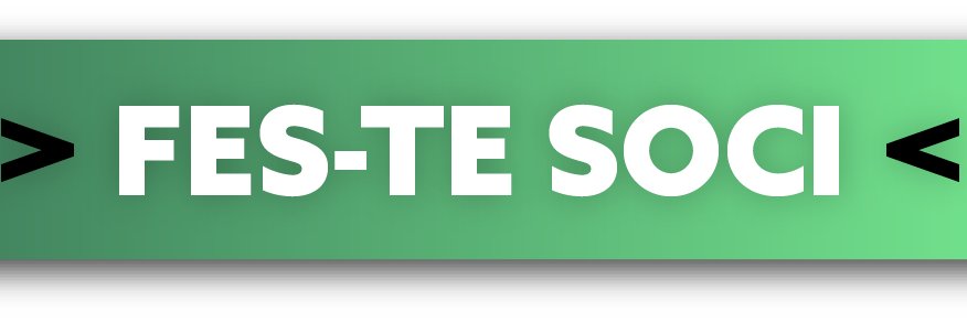 granotsisopes's profile banner image