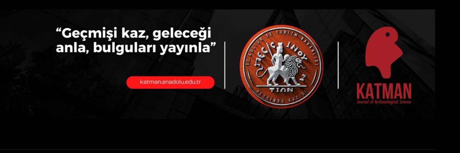 ayurtsever's profile banner image
