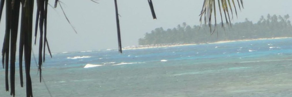 PAOHF's profile banner image
