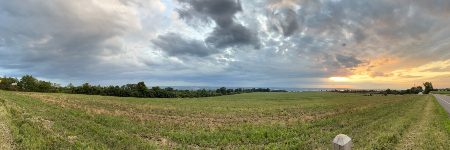 Meatball McFuzzpants banner