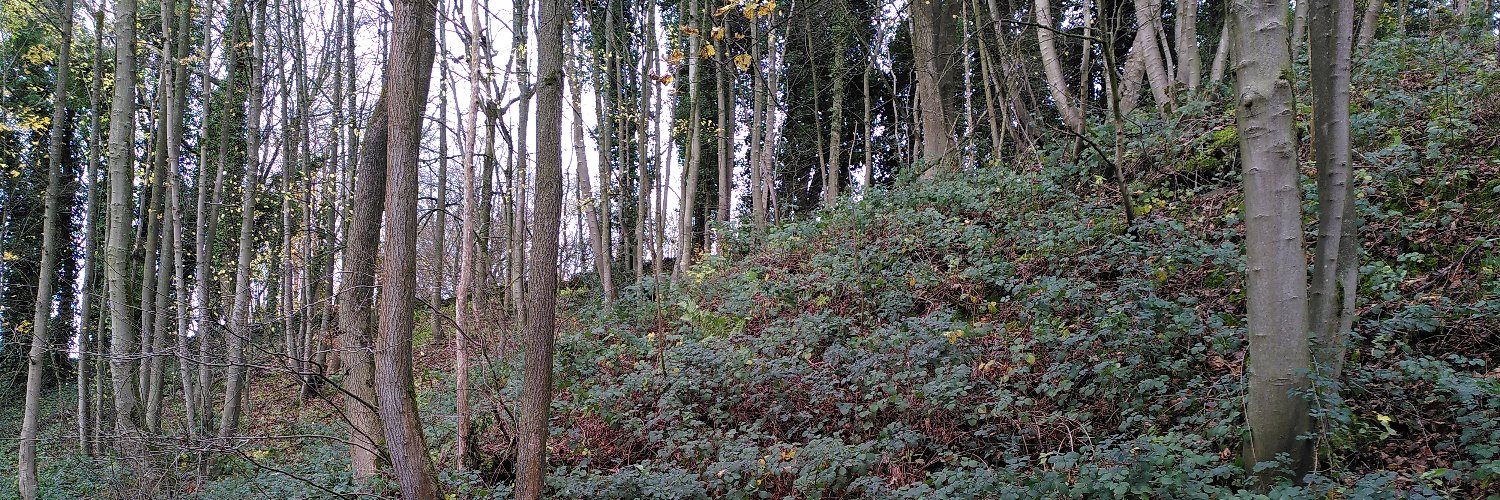 greencraven's profile banner image