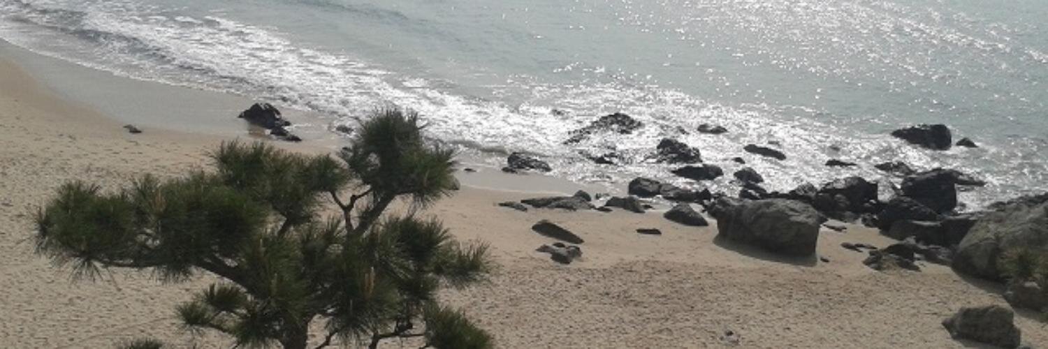 Prof Jim Richards banner