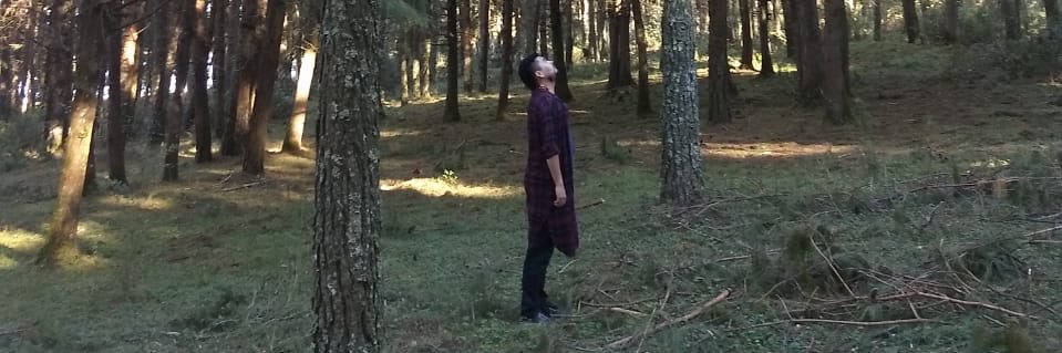 NkAbraham's profile banner image