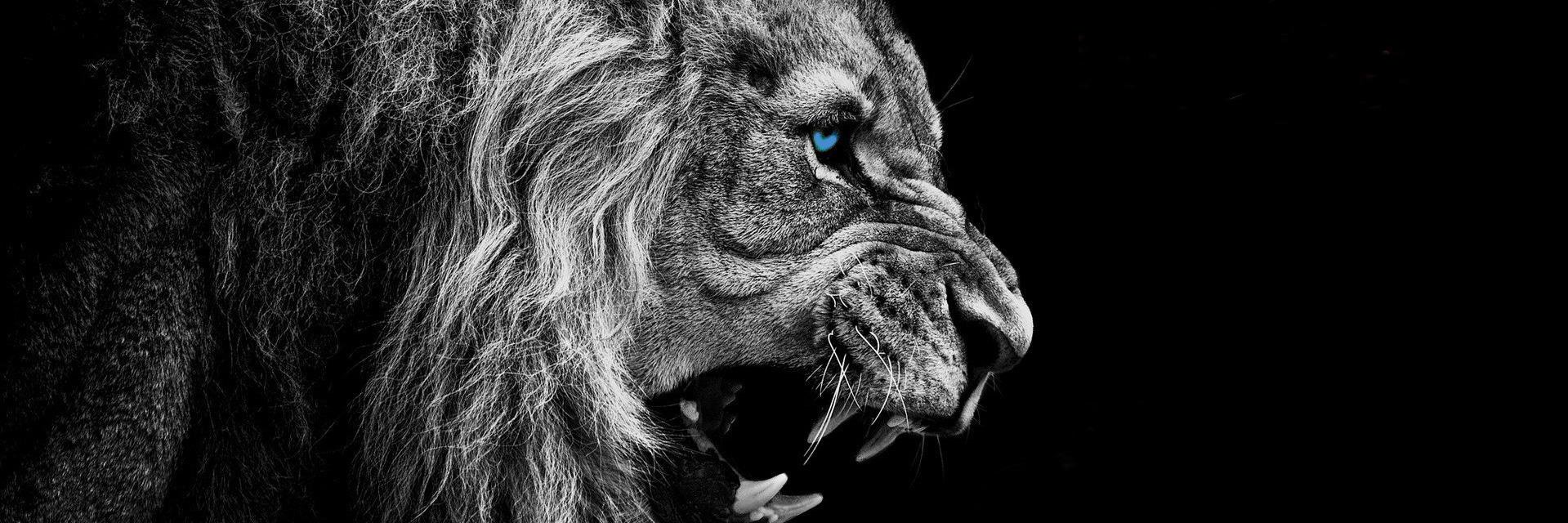 MohamadEssamer's profile banner image