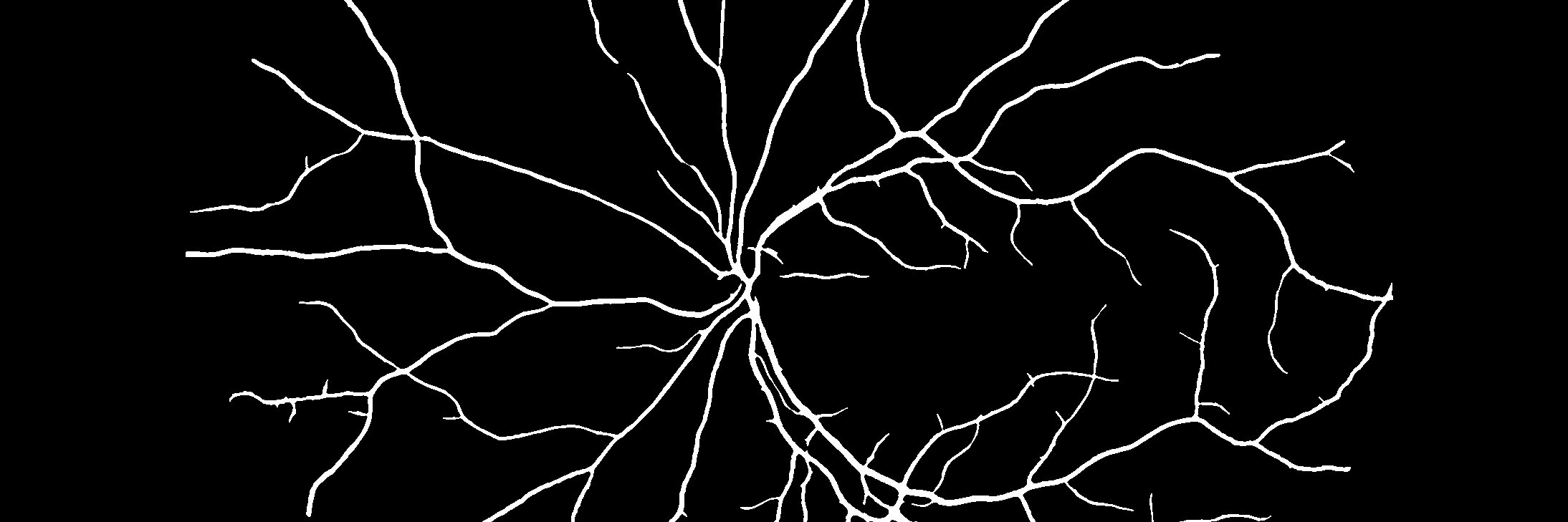 lajoscs's profile banner image