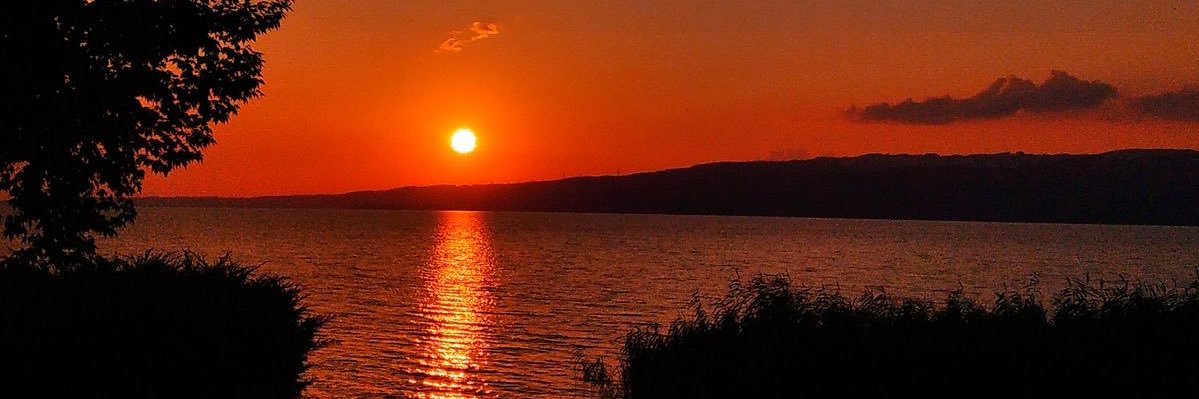 leynayim's profile banner image