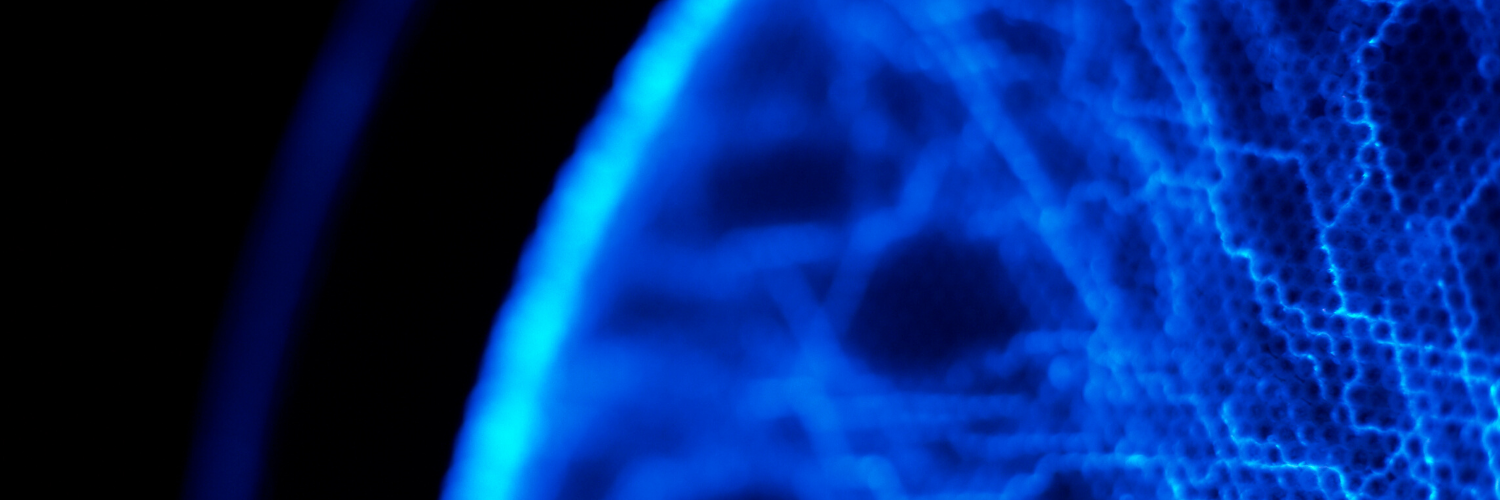 Meredith Angwin banner