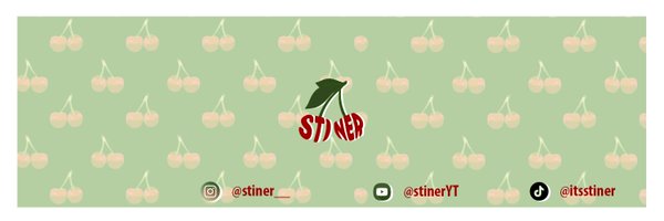 stinerr_ Profile Banner