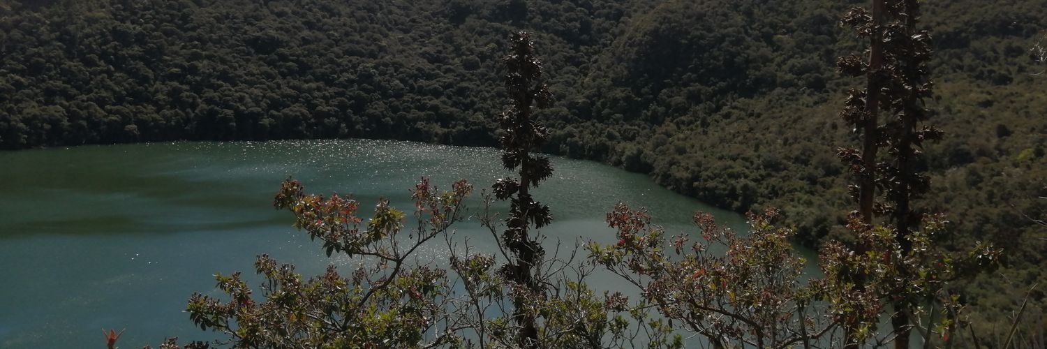 angelmed82's profile banner image