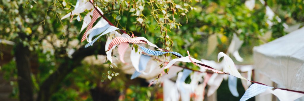 Bean and Fizz banner