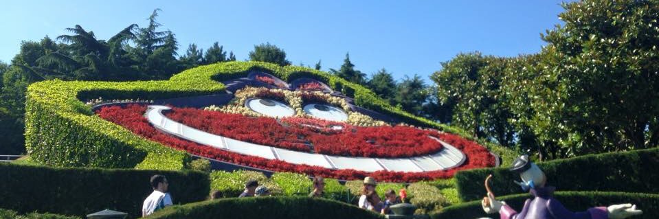 1992Disneymagic's profile banner image