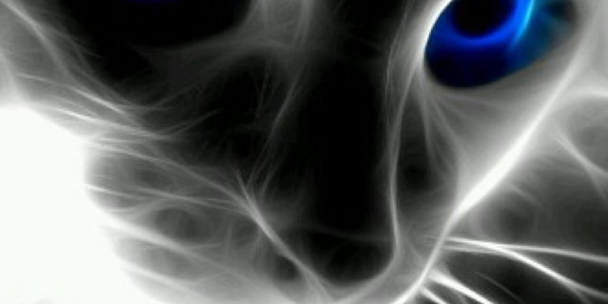 Qtr_kmak's profile banner image