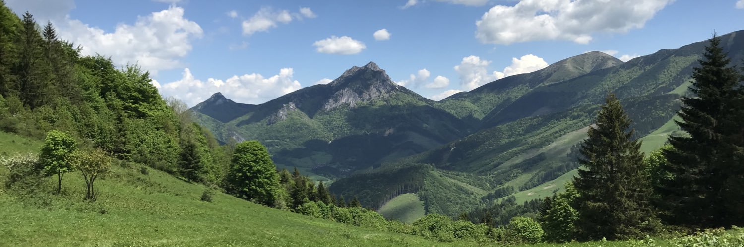 tsonitz's profile banner image