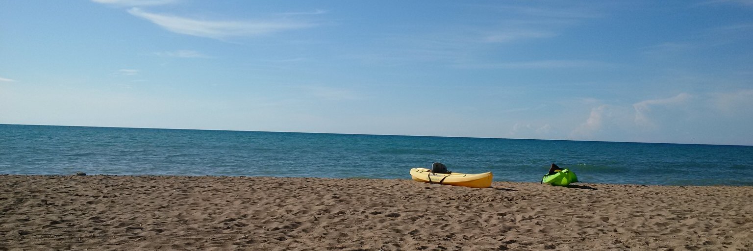 Rossana Perry banner