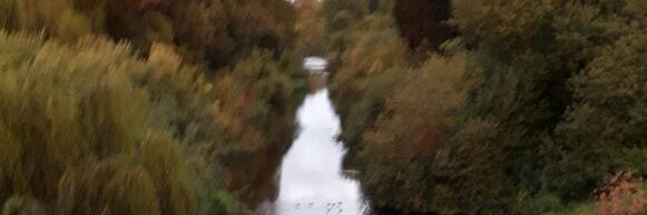 aldonaza2's profile banner image