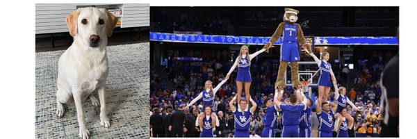 amatt3211 Profile Banner