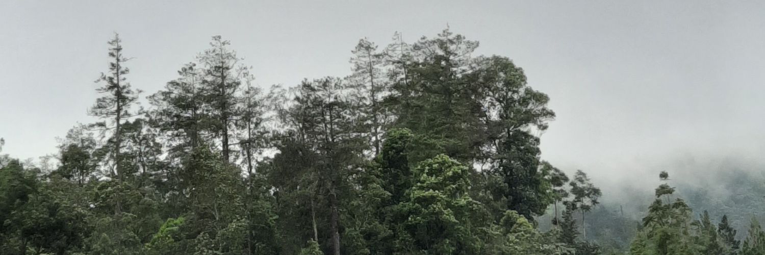 BintangDwiky's profile banner image