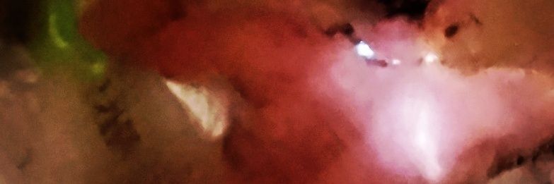 Daniel 🐺 banner