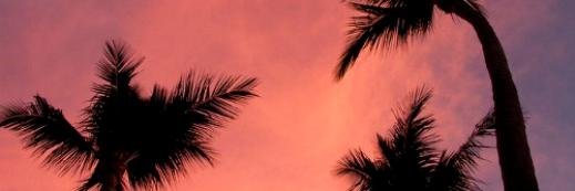 xbea's profile banner image
