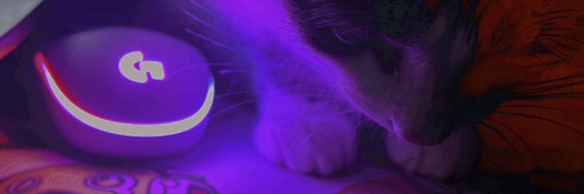 zphtx's profile banner image