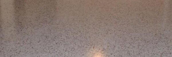 terrazzocarefl Profile Banner