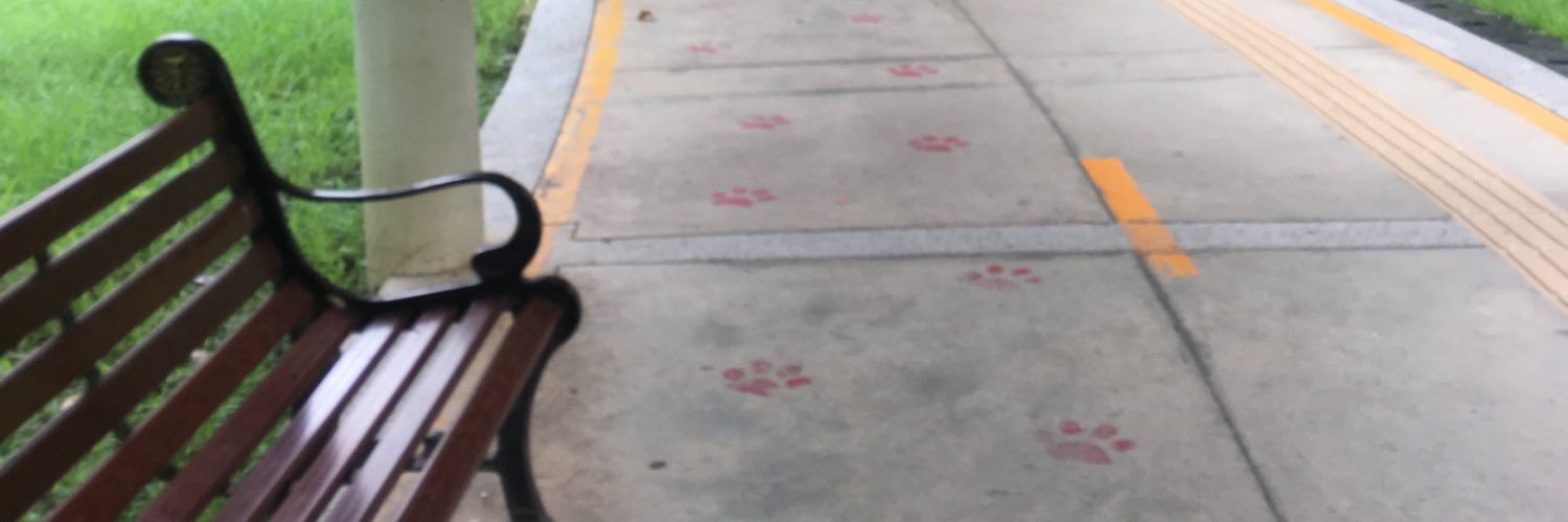 catcha banner