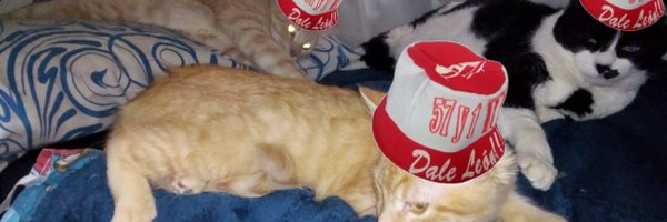 ElGatoDelLeon Profile Banner