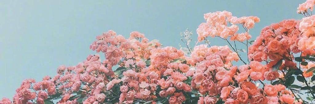 EdaG_5's profile banner image