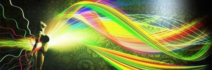 constance malone banner