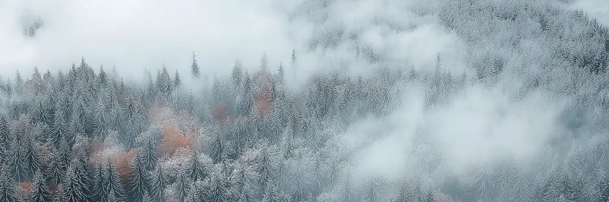 BrotherMatt_'s profile banner image