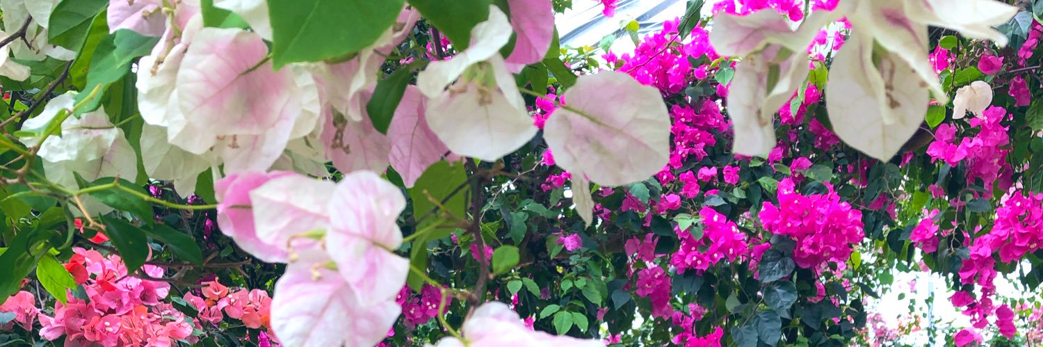 mint @湯治に行きたい🐝𓂃𓈒𓏸︎︎︎︎ banner