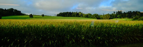 R_Torin816 Profile Banner