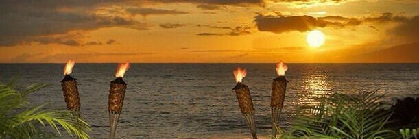 beachshack101's profile banner image