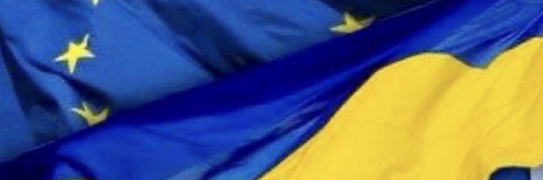 Johannes Hahn banner