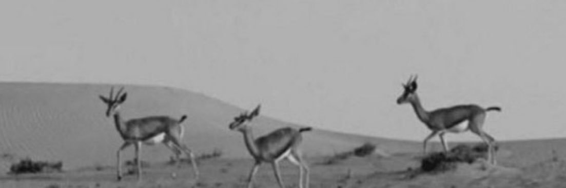 _oovs's profile banner image
