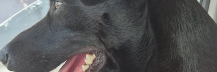 vickresendee's profile banner image