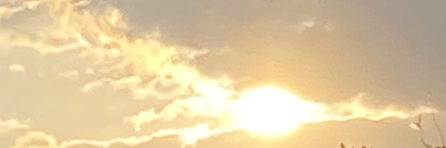 OhannaaB's profile banner image