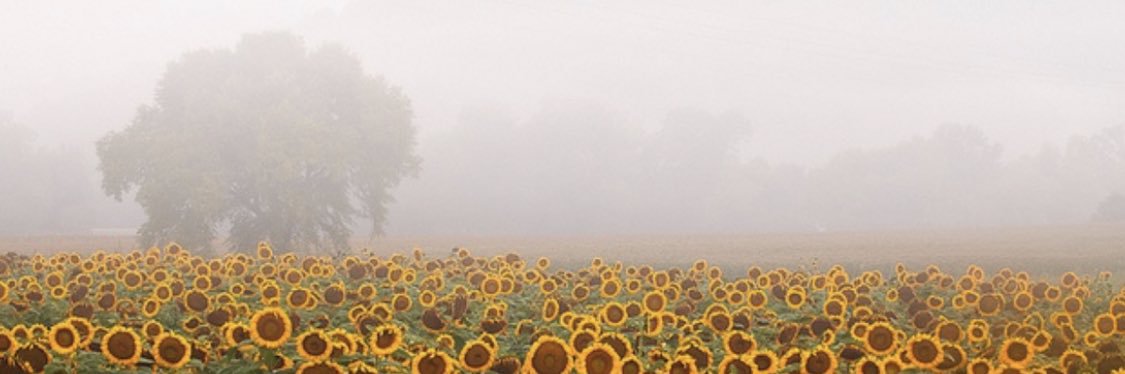 накручена🌻 banner