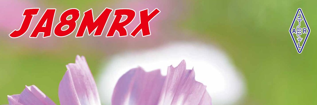 河岸宏和（食品安全教育研究所代表） banner