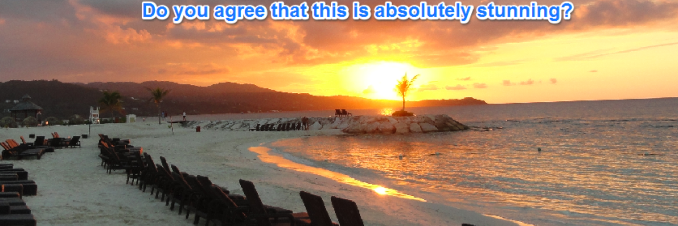 SunSandHnymoons's profile banner image