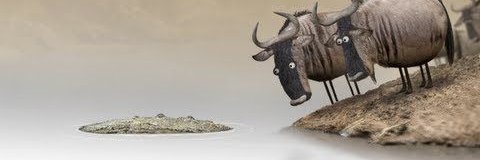 VisitanteCg's profile banner image