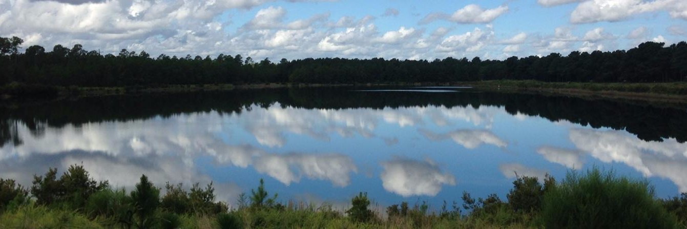NHCParks's profile banner image