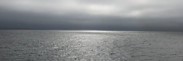 tkoterwas Profile Banner